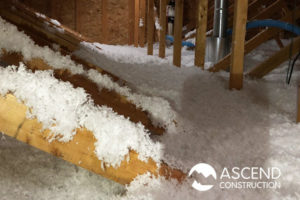 Attic Blown In Insulation