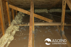 Attic Plate Sealing Insulation