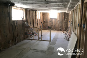 Basement Insulation Project