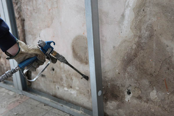 image of mold on insulation