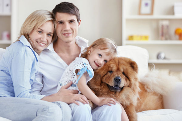 family in an airtight home depicting air sealing and spray foam fort collins co