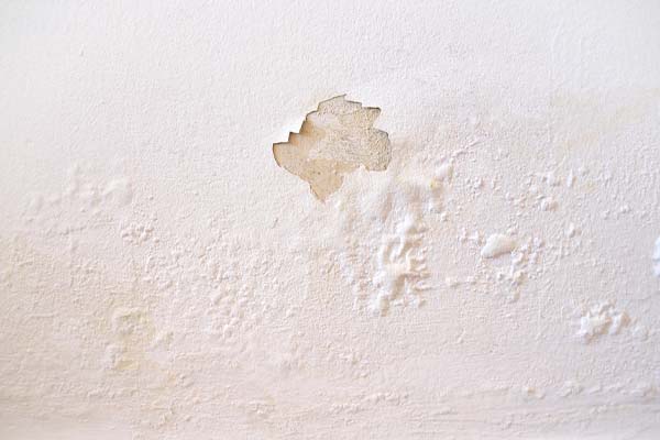image of peeling paint depicting condensation on walls and old insulation