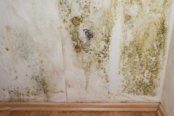 image of a basement mold due to underinsulation