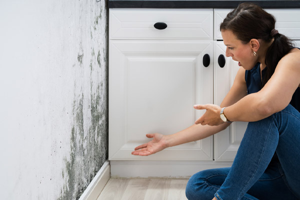 image of a homeowner frustrated at mold growth