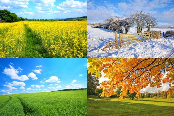 a collage of 4 seasons depicting Seasonal Comfort Year-Round