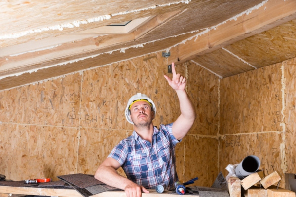 Expert doing home assessment for insulation and solar panel efficiency