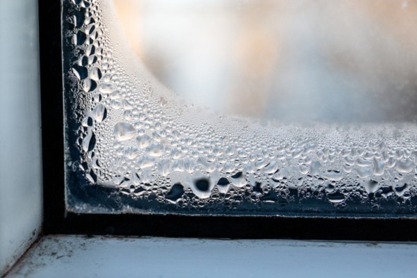 image of window with condensation and mold depicting leak