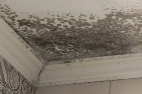 moldy ceiling due to poor insulation