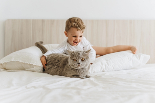happy child playing with a gray kitten depicting Child and Pet Safety Around Your Air Conditioner