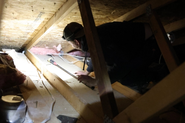 Insulation Service by Ascend Construction