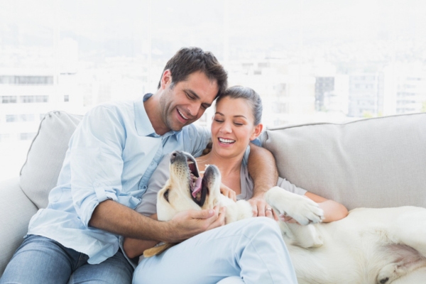 couple playing with their dog in he living room while keeping cool and cozy at home