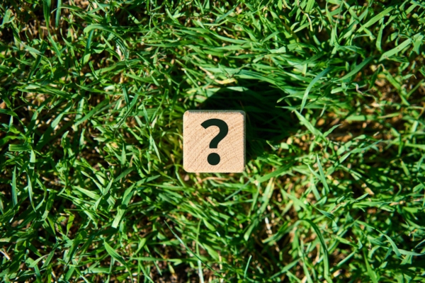 question mark on a wooden dice on a grass depicting Humidity and Insulation FAQs